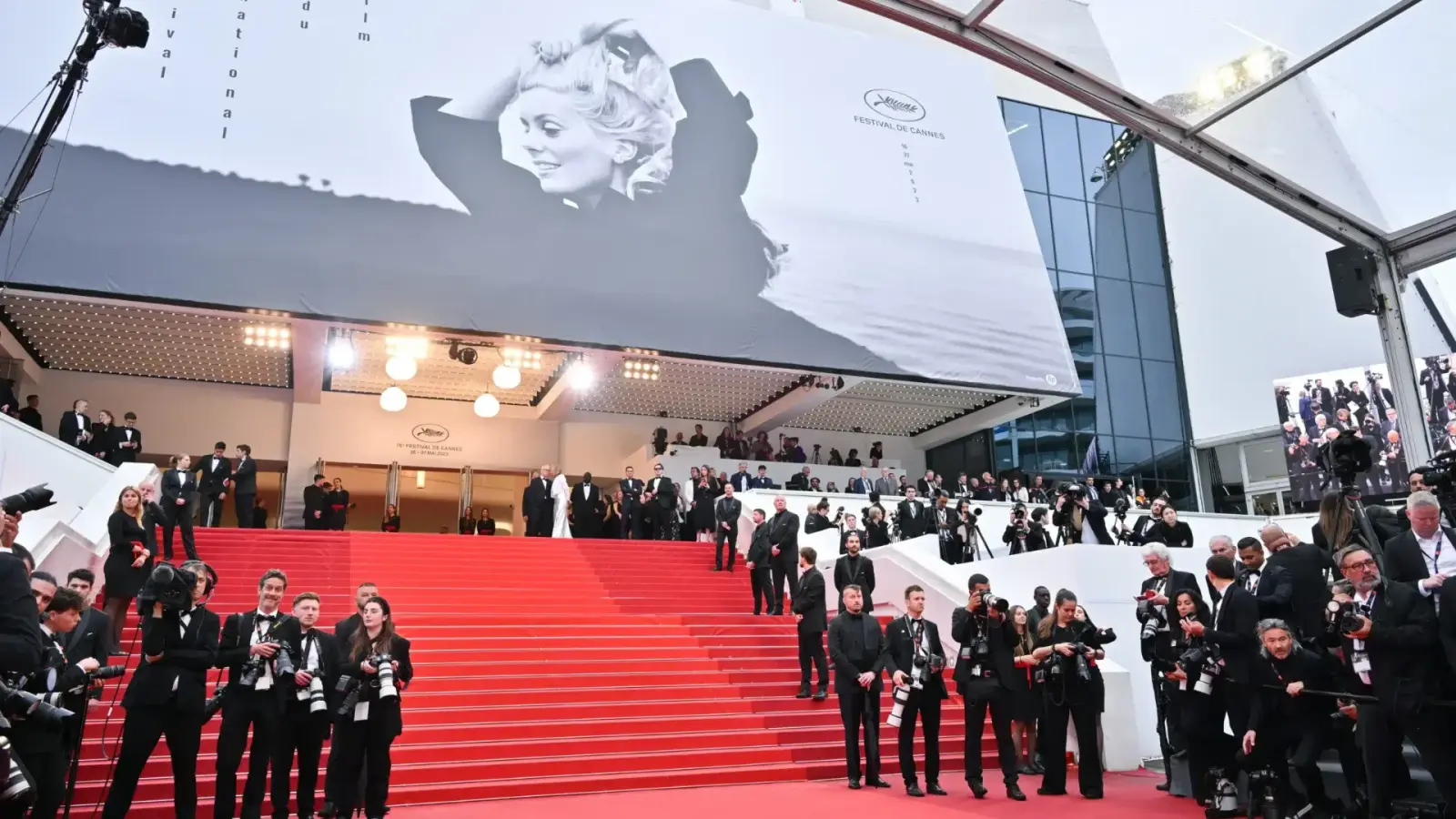 Film Festival Experience